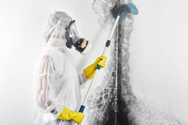 Best Residential Mold Inspection & Testing  in Marquette, MI