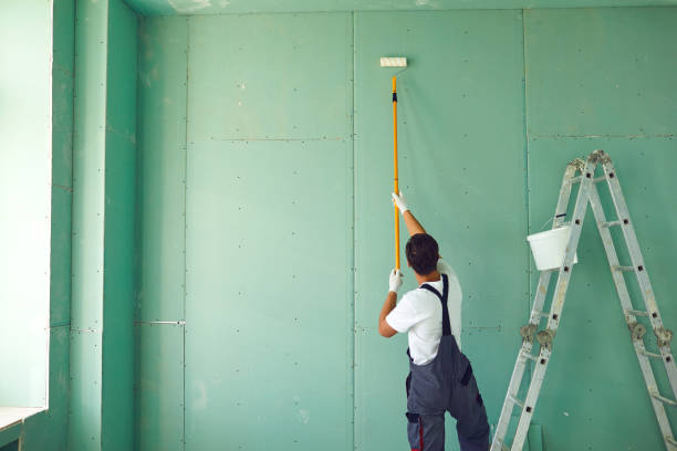 Marquette, MI Mold Removal Company