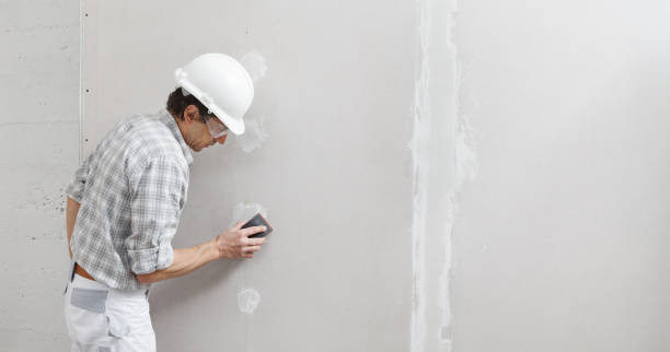 Reliable Marquette, MI Mold Removal Solutions