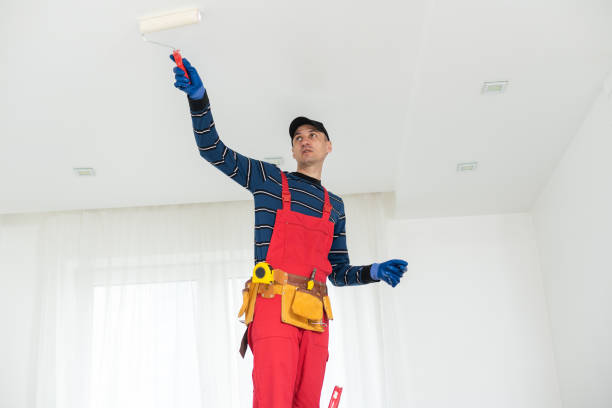 Best Biohazard Mold Removal  in Marquette, MI