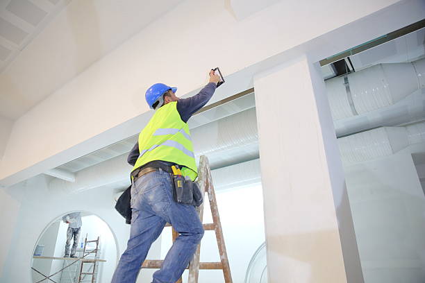 Best Black Mold Removal  in Marquette, MI