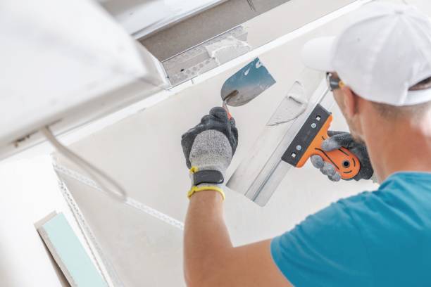 Best Mold Damage Restoration  in Marquette, MI